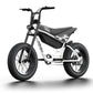 Himiway C5 | Premium Moped Style E-Bike