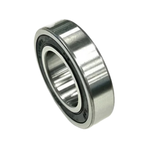 Ultra Bee Hinterradlager